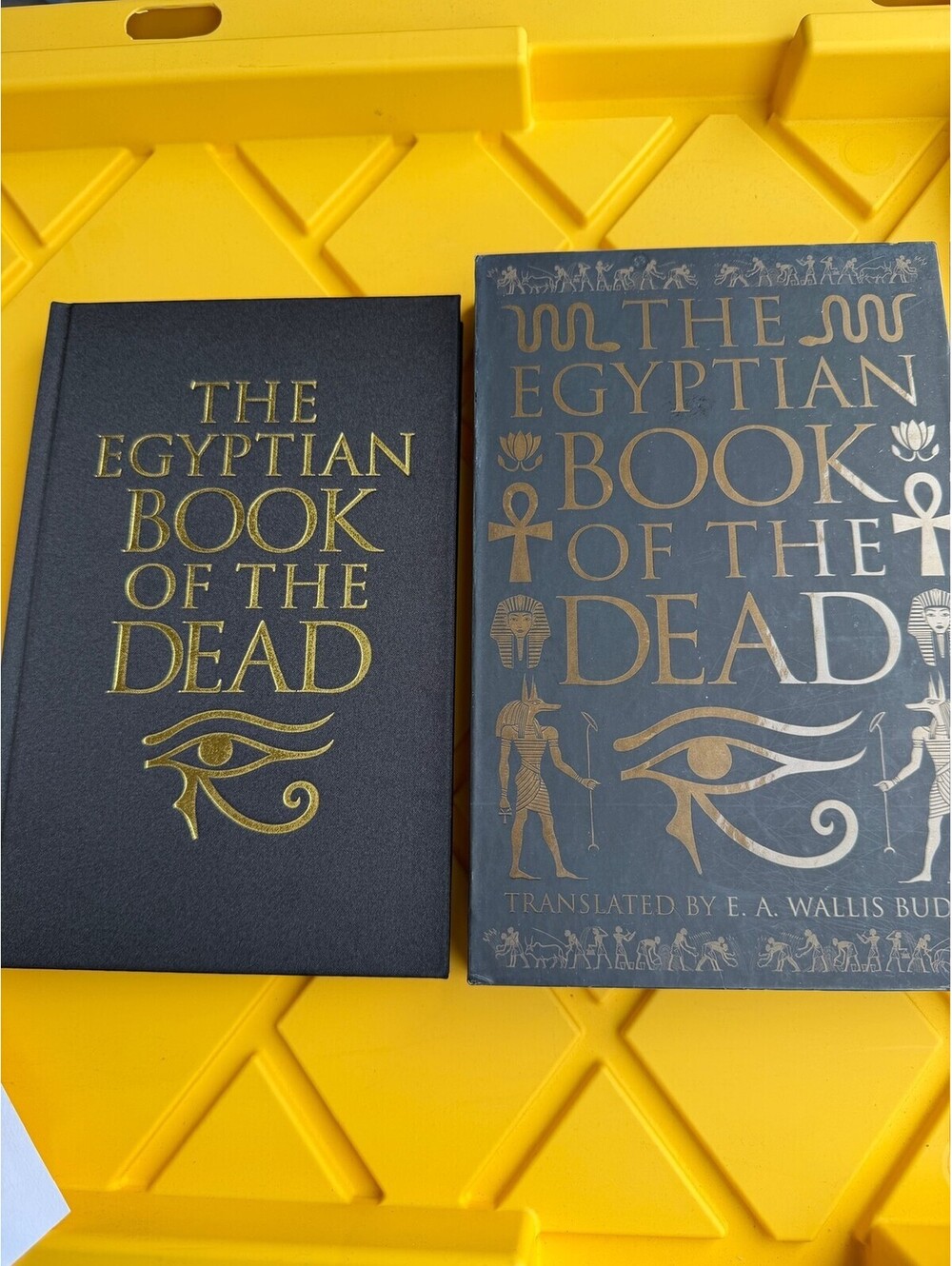 Lot of 2 Hardcover Books: Egyptian Book of the Dead & Too Much - A-7